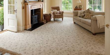 Professional carpet maintenance
